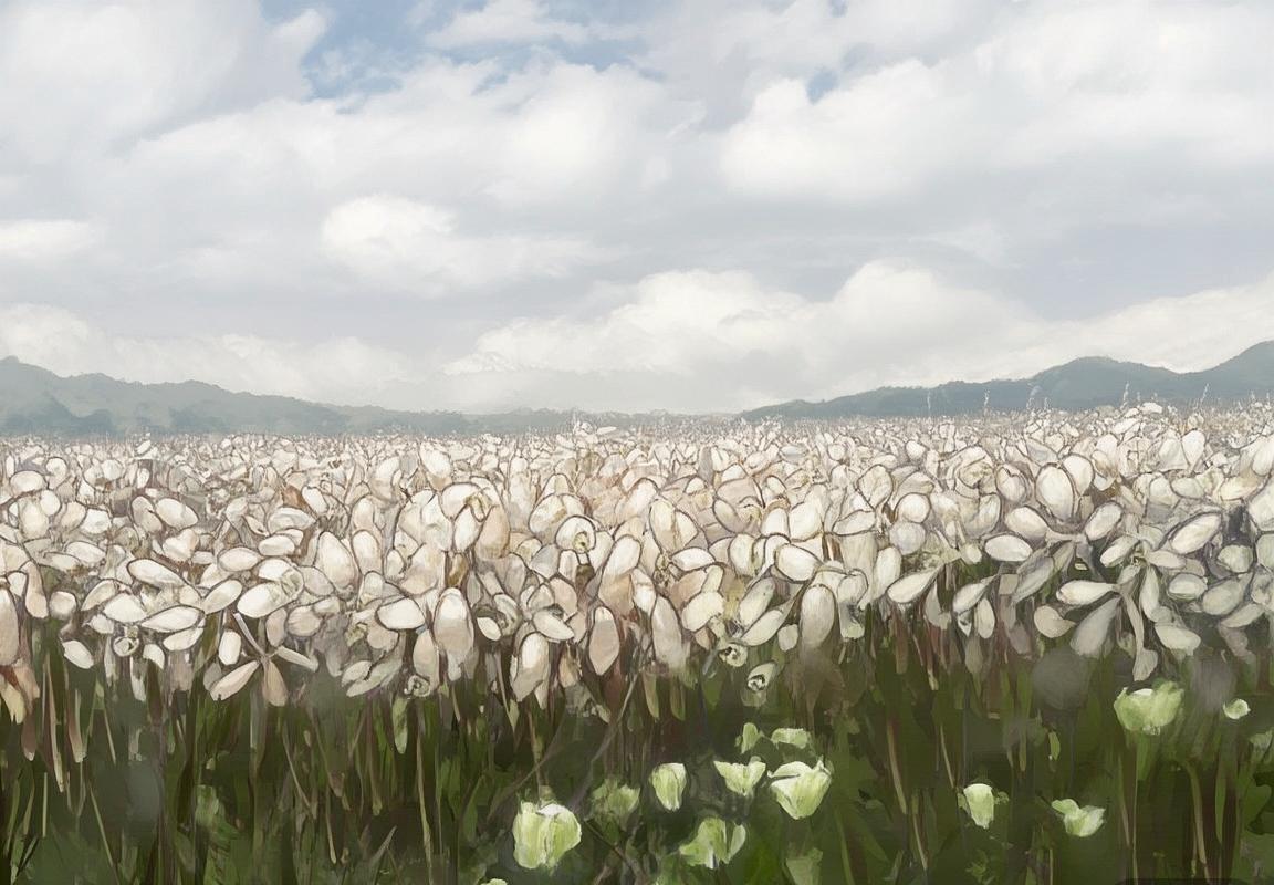 法国vs瑞士足球对决分析：状态、历史、战术与盘口解析